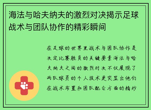 海法与哈夫纳夫的激烈对决揭示足球战术与团队协作的精彩瞬间